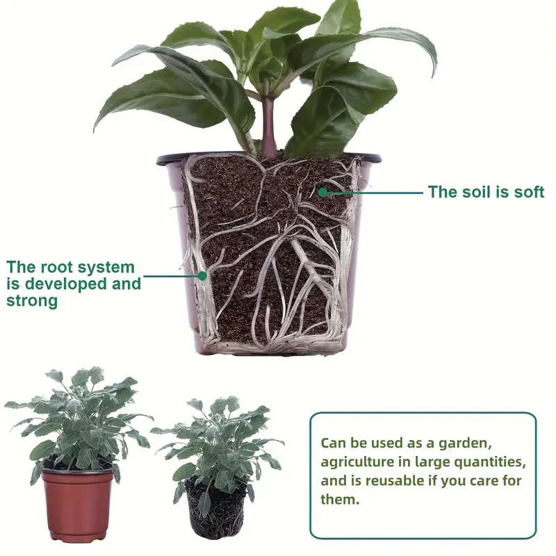 50 Pack Plastic Cone Shaped Seedling Cups