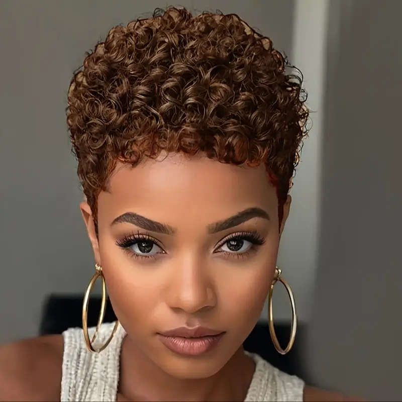 WomenS Short Brown Curly Wig