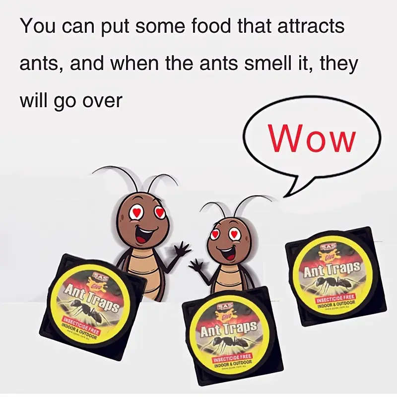 3 Ant Traps