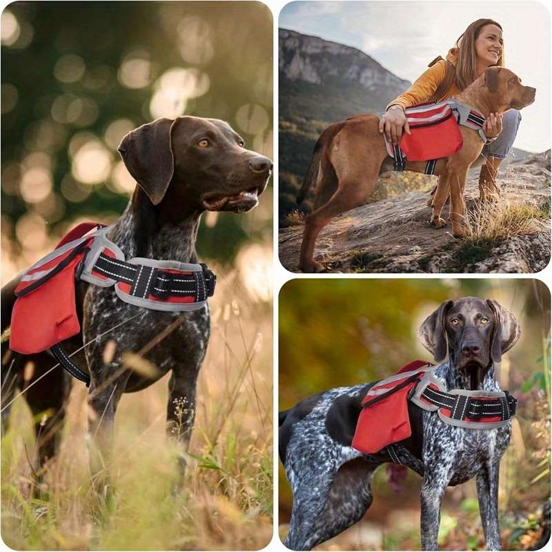 1pc XL Pet Bag