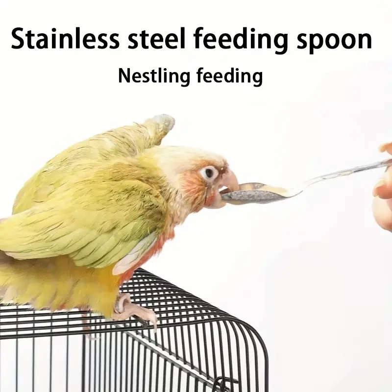 Small Bird Feeder