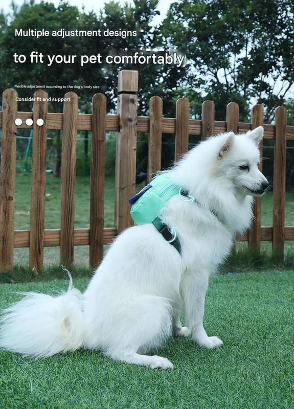 1pc Bluesize M Pet Bag