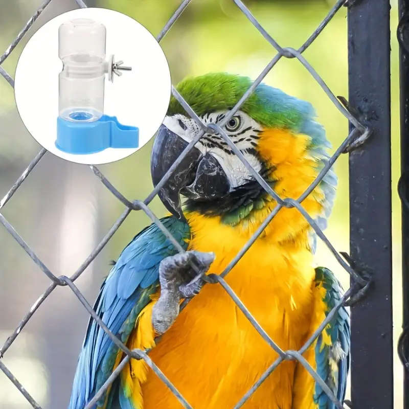 Small Bird Feeder