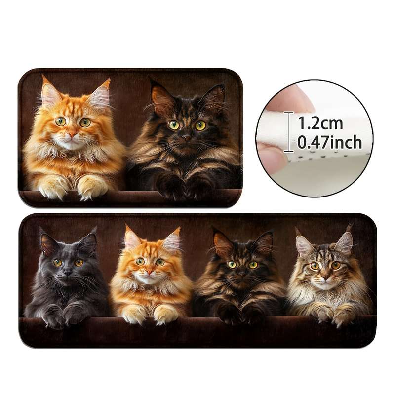 1Pc 45x75cm Floor Mat