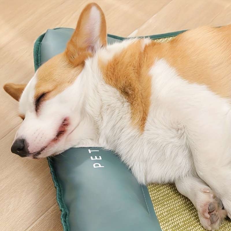 1piece 40Cm50Cm 15.75In19.69In Cooling Pad