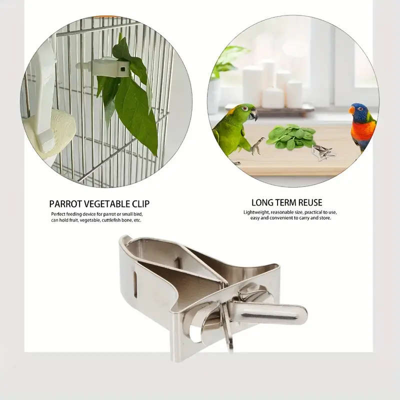 Small Bird Feeder