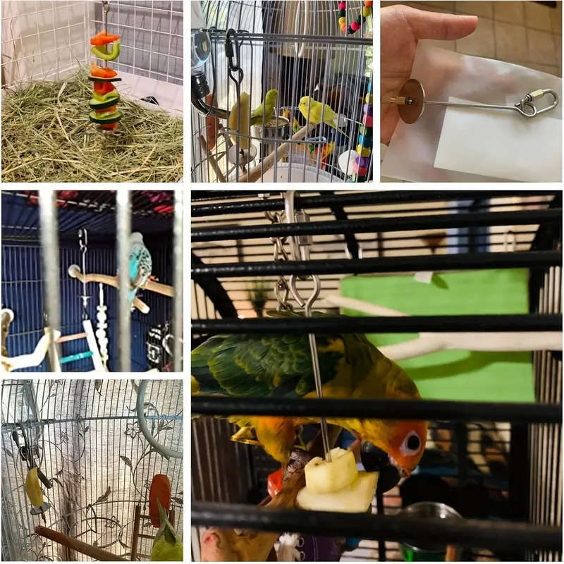 Small Bird Feeder
