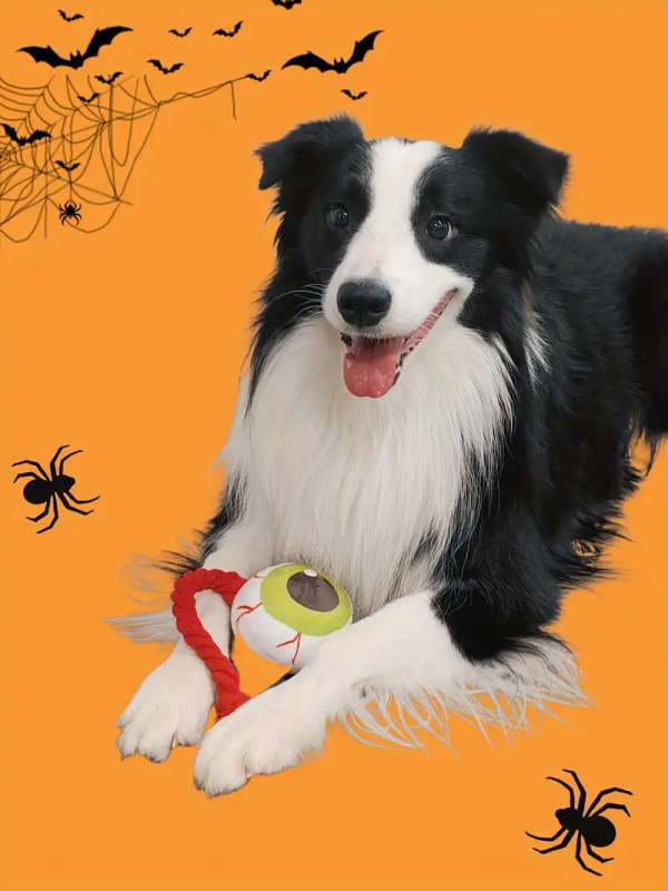 Dog Chew Toys