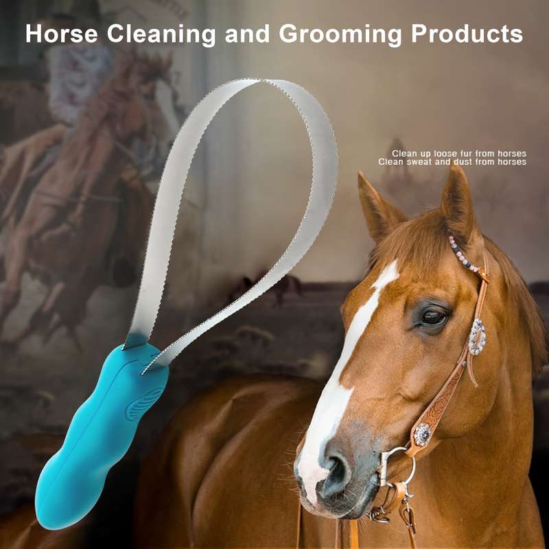 1pc One Circle Of SawTooth Blue Pet Comb