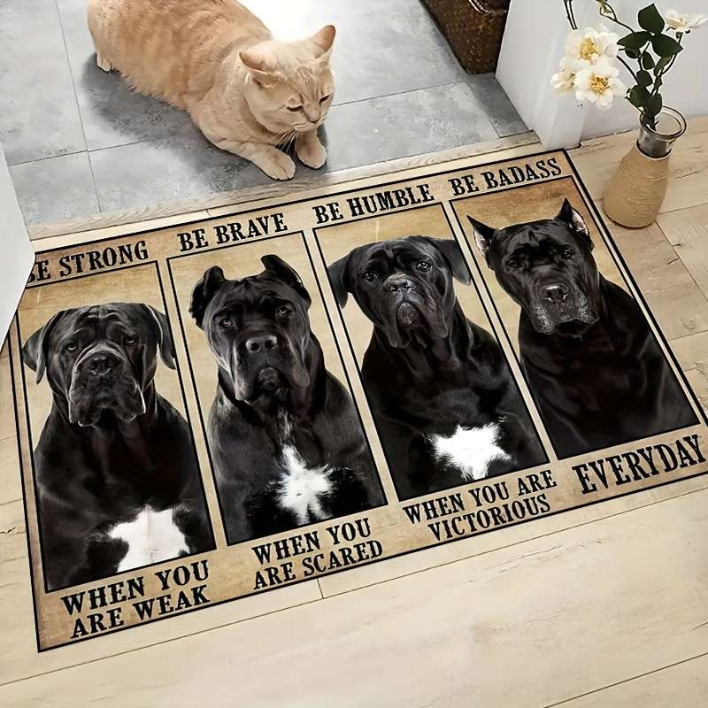 1Pc 48.26x78.74cm Floor Mat