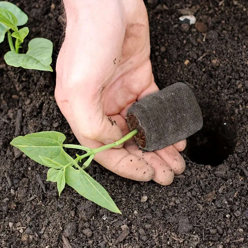 Seed Starter