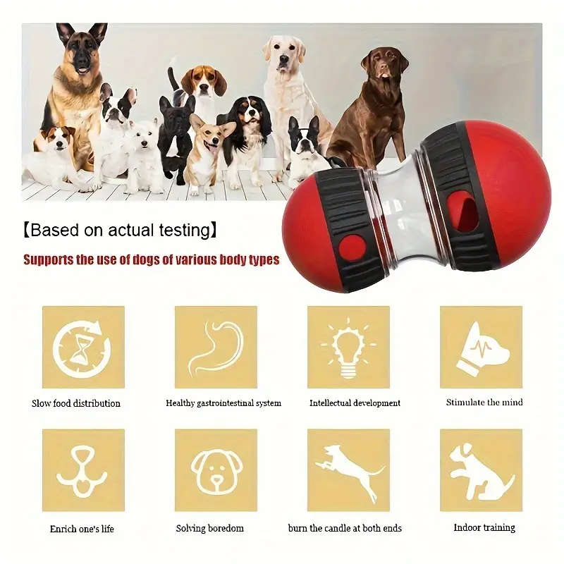 Dog Educational Toys