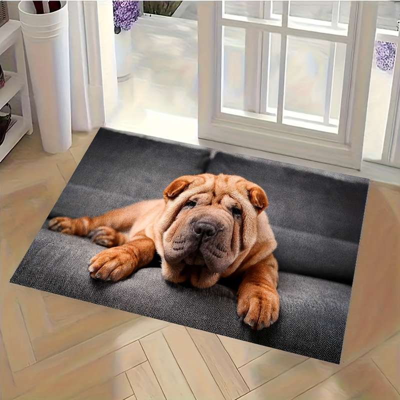 1Pc 5Ox8Ocm Floor Mat