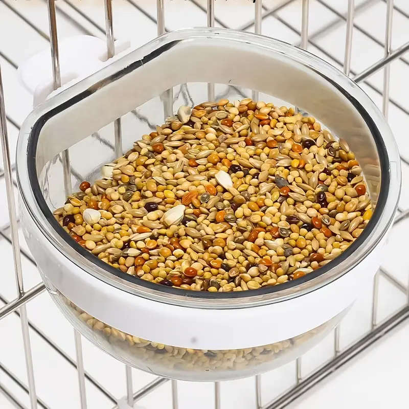 Bird Feeder