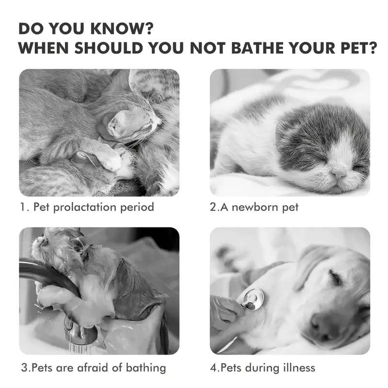 Pet Comb