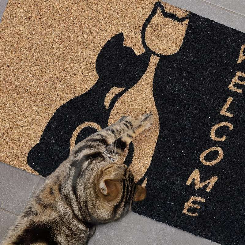 1Pc 15.74x23.62inch 40x60cm Floor Mat