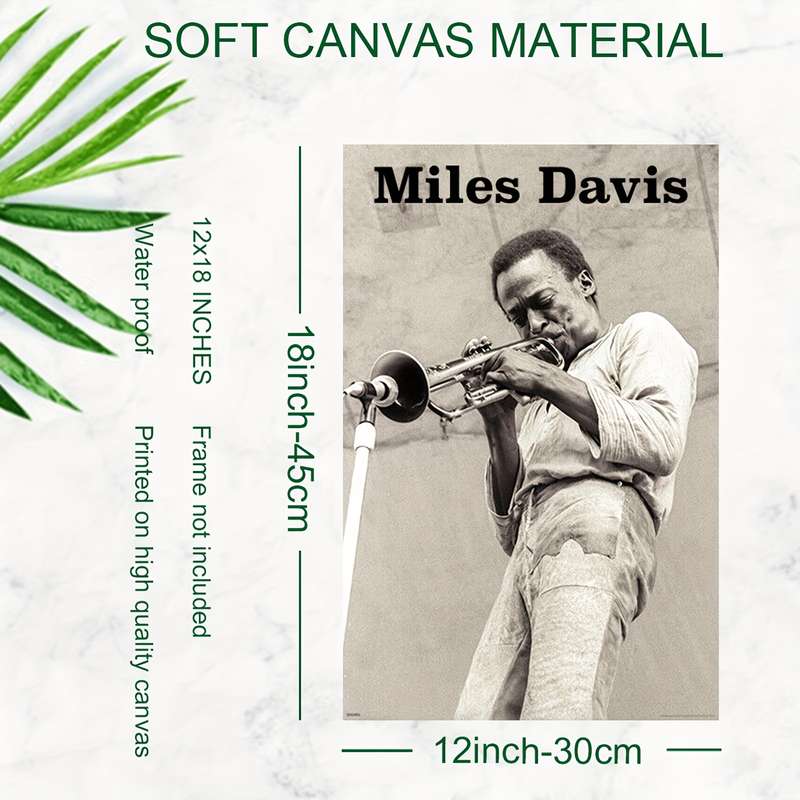 1pc  Frameless Miles Davis with Trumpet Canvas Art Poster 30.48x45.72 cm Black and White Ide