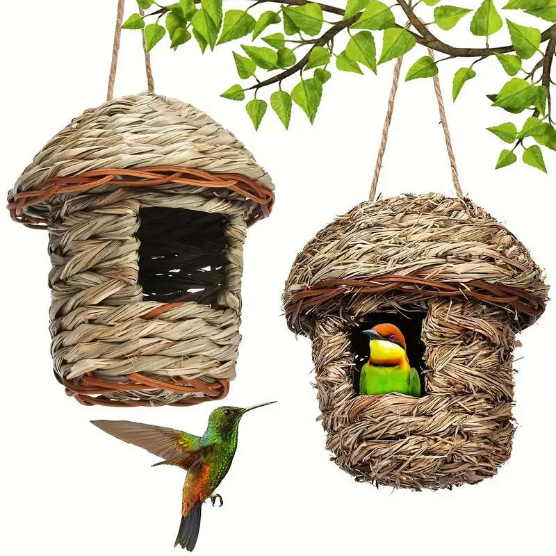 Small Bird Feeder