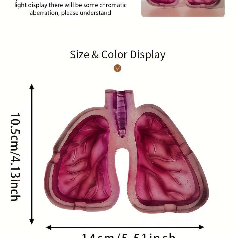1pc Artistic Resin Ashtray with Lung Design Creative Home Office Decor Gift Unique Smoking