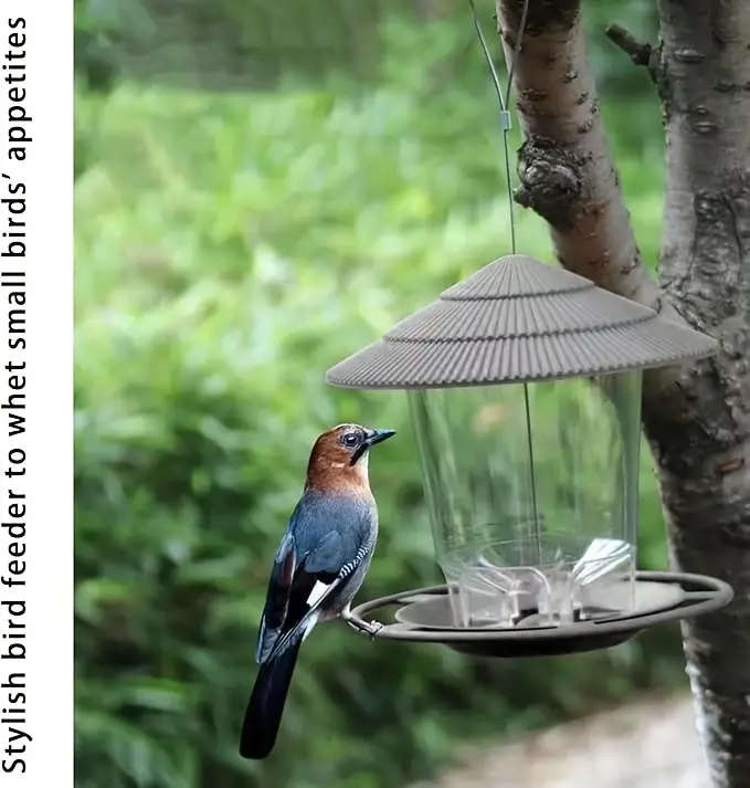 Small Bird Feeder