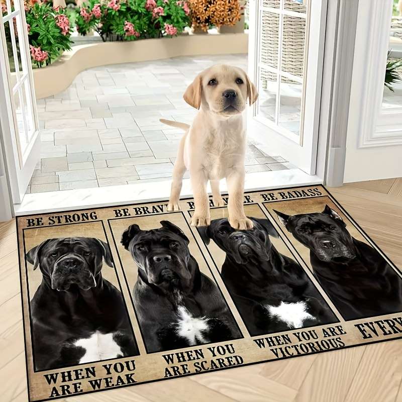 1Pc 48.26x78.74cm Floor Mat