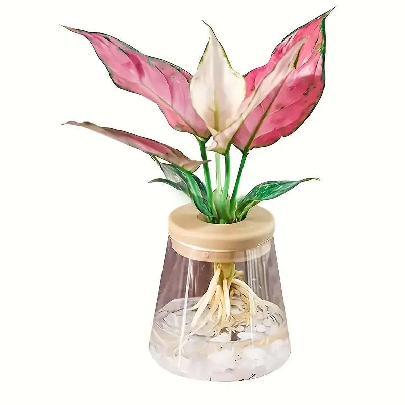 1 Piece Hydroponic Flower Pot Set With Irrigation System