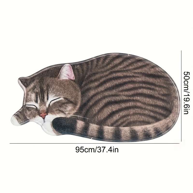 1Pc 40x76cm 15.75x30inch Floor Mat
