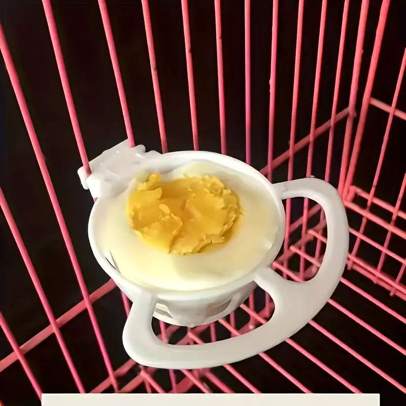 Bird Feeder