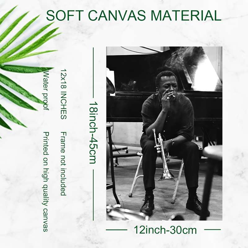 1pc 2D Flat  Miles Davis Music Poster Frameless Canvas Wall Art 30.48x45.72 cm Black Whi