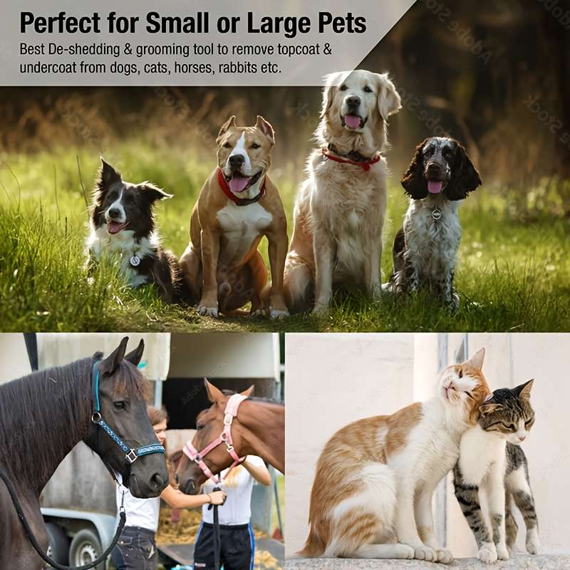 1set Red Pet Comb