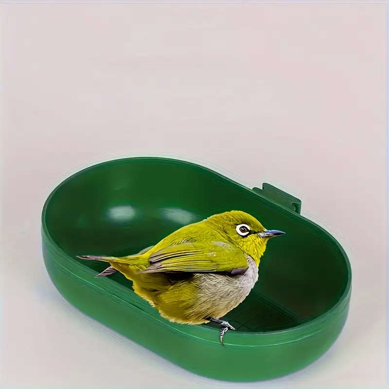 Bird Feeder