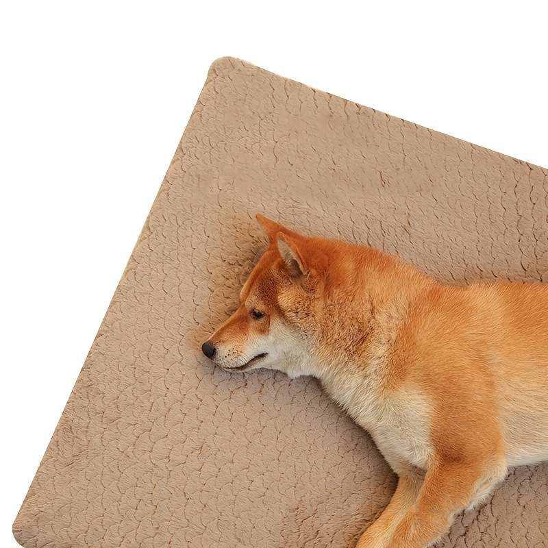 1PC Pet Mat Brown Size Size 48x35cm