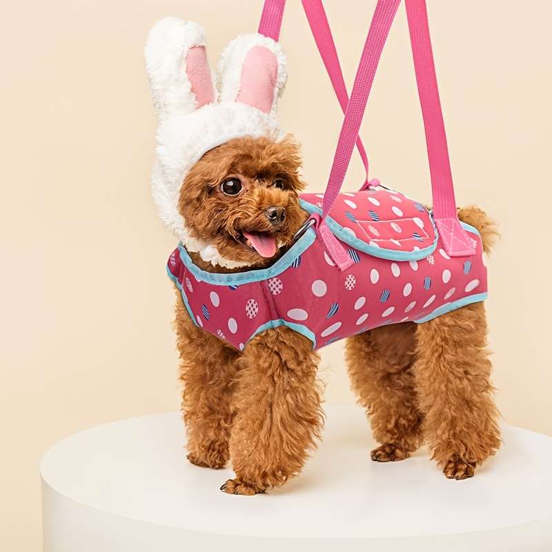 1pc Bluesize S suitable for pets under 2.72 KG Pet Bag