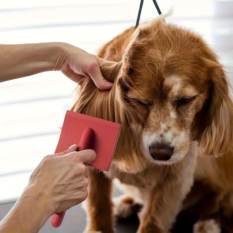 1pc Black Pet Comb