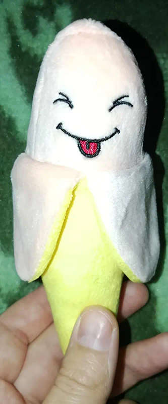 Dog Chew Toys