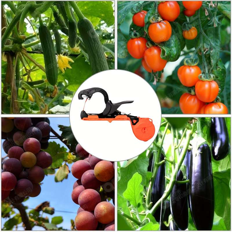 1 Set Orange Plant Tying Machine For Grapes With 10 Rolls Tapes 10000Pcs Staples
