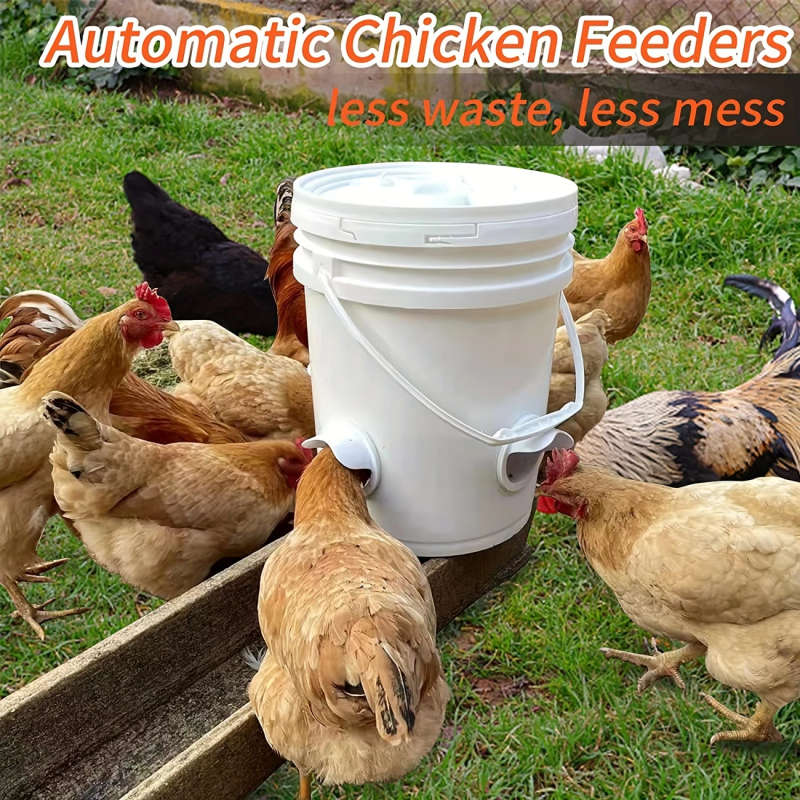 2pcs Automatic Chicken Duck Feeder
