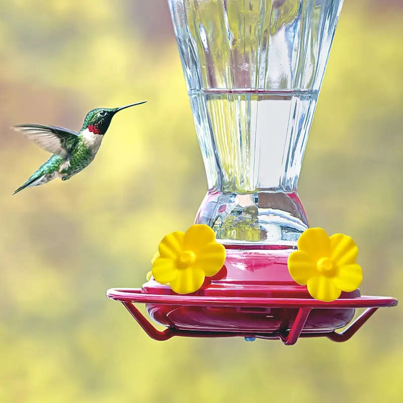Bird Feeder
