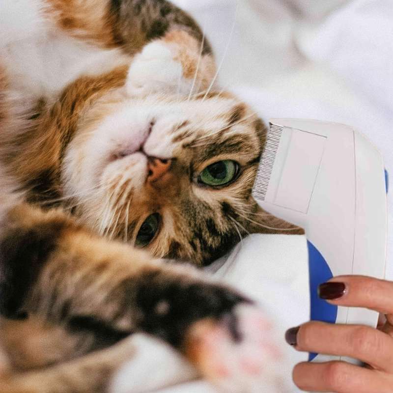 1pc White Pet Comb