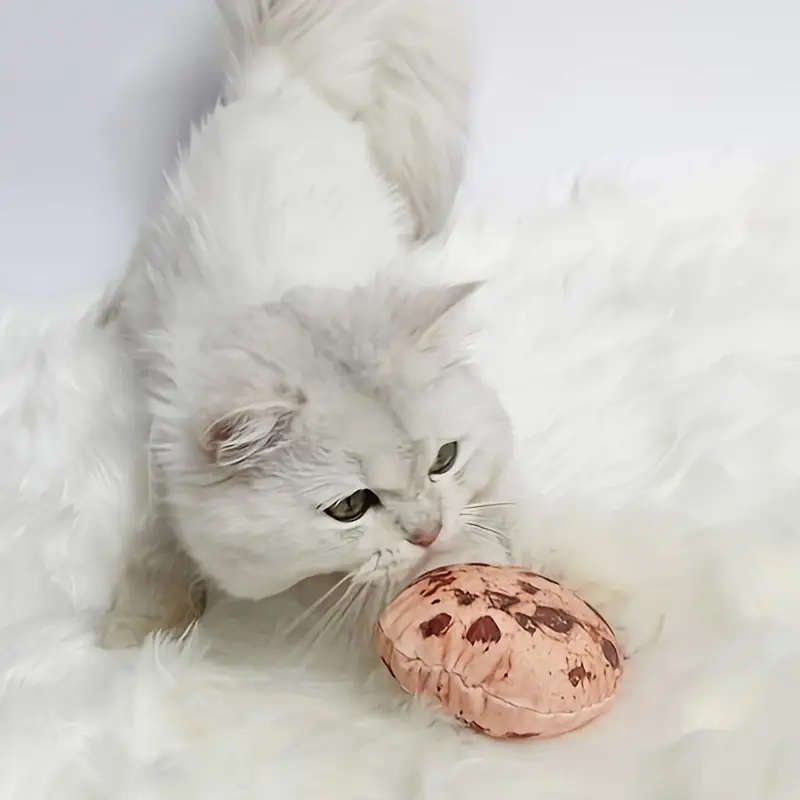 Dog Chew Toys