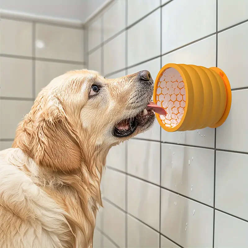 Dog Bowl