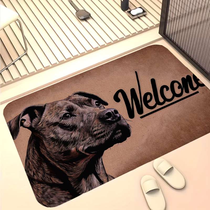 1Pc 19.69x31.49inch 50x80cm Floor Mat