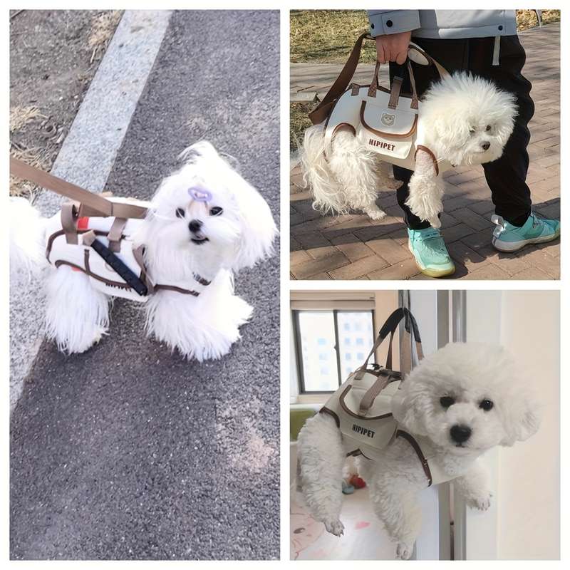 1pc S Pet Bag