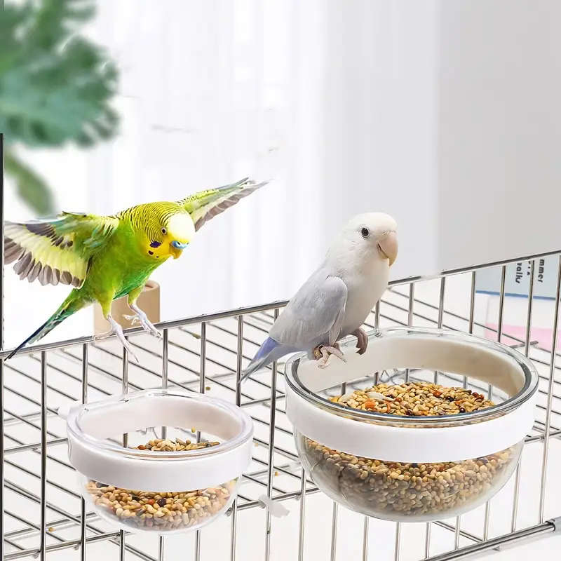 Bird Feeder