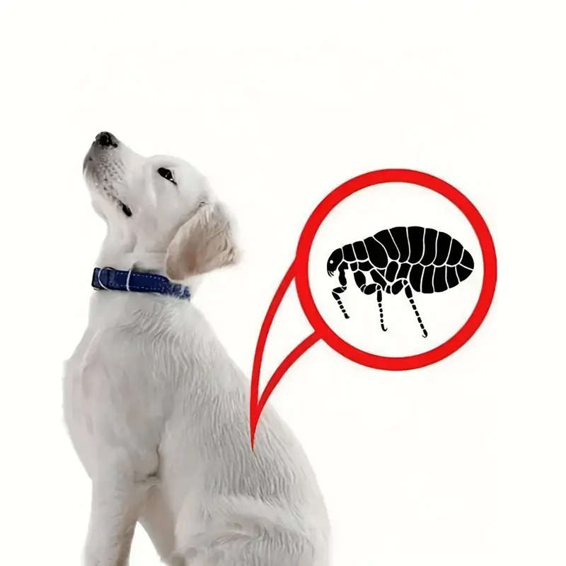Pet Comb