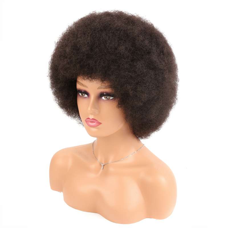 1Pc 27A 25.4cm Fashion Design Wig