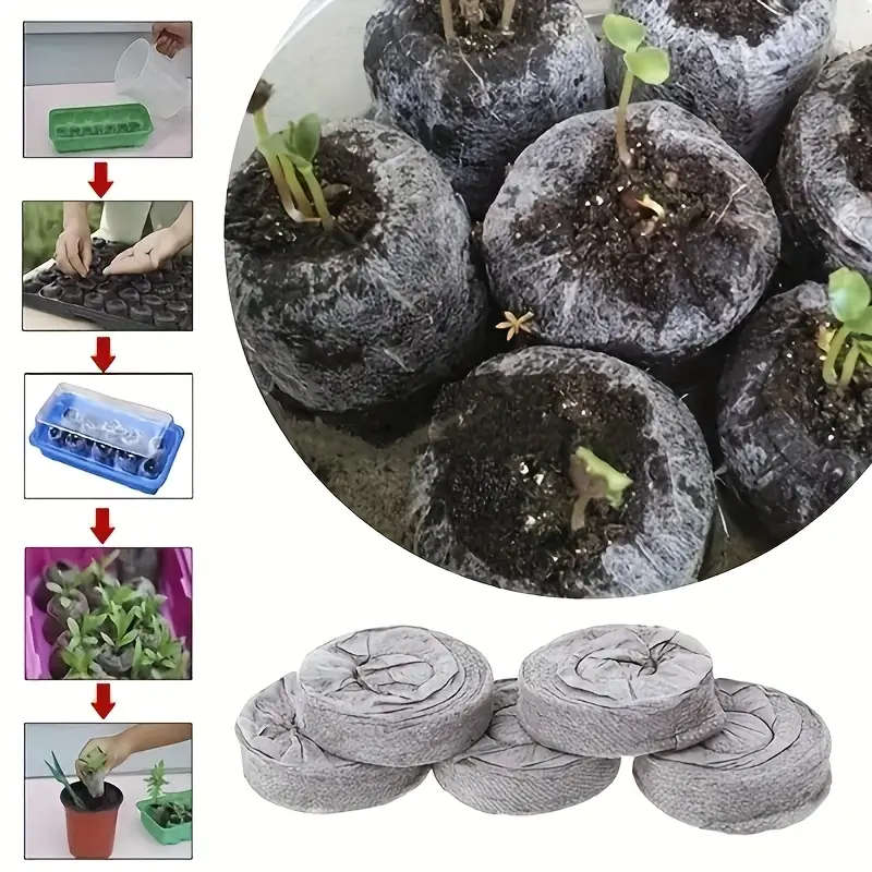 Seed Moisturizer