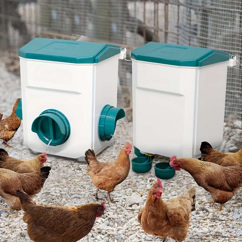Automatic Chicken Feeder
