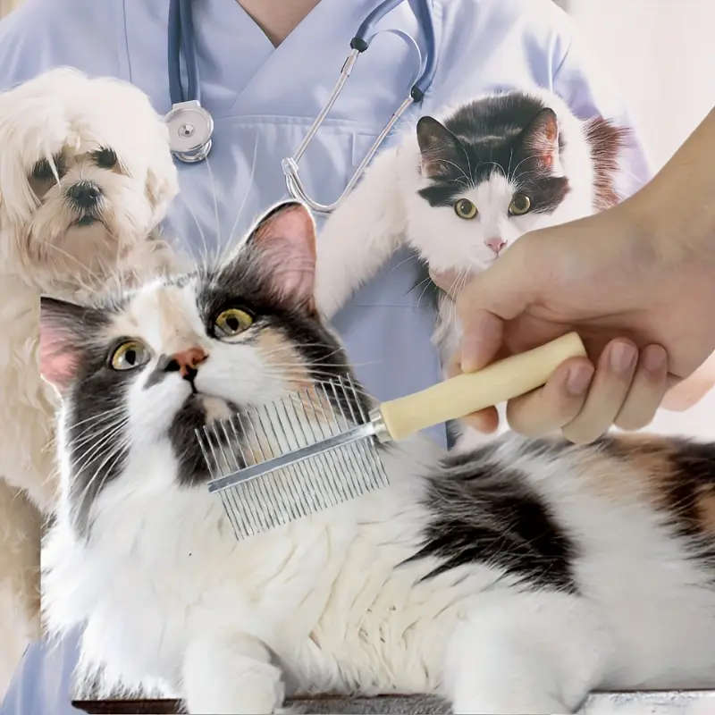 Pet Comb