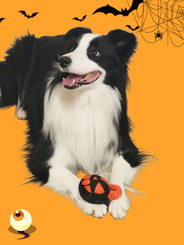 Dog Chew Toys